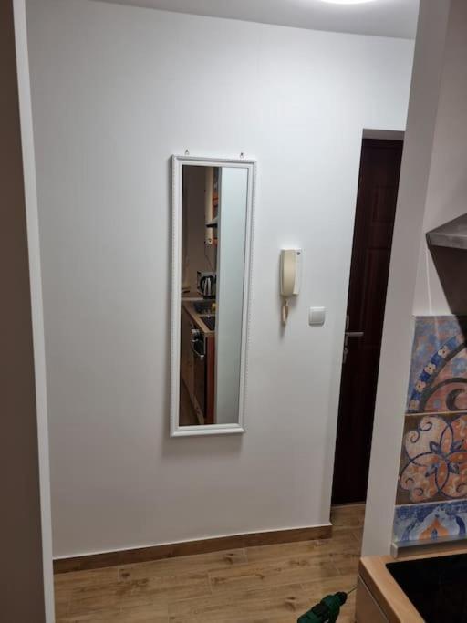 Studio Apartman Bojana 34M2,Free Wifi,Parking 锡萨克 外观 照片