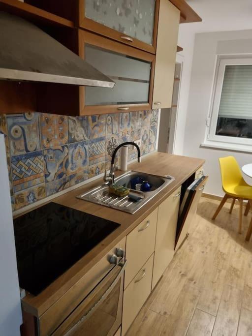 Studio Apartman Bojana 34M2,Free Wifi,Parking 锡萨克 外观 照片