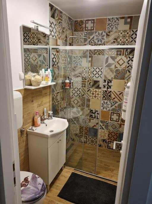 Studio Apartman Bojana 34M2,Free Wifi,Parking 锡萨克 外观 照片