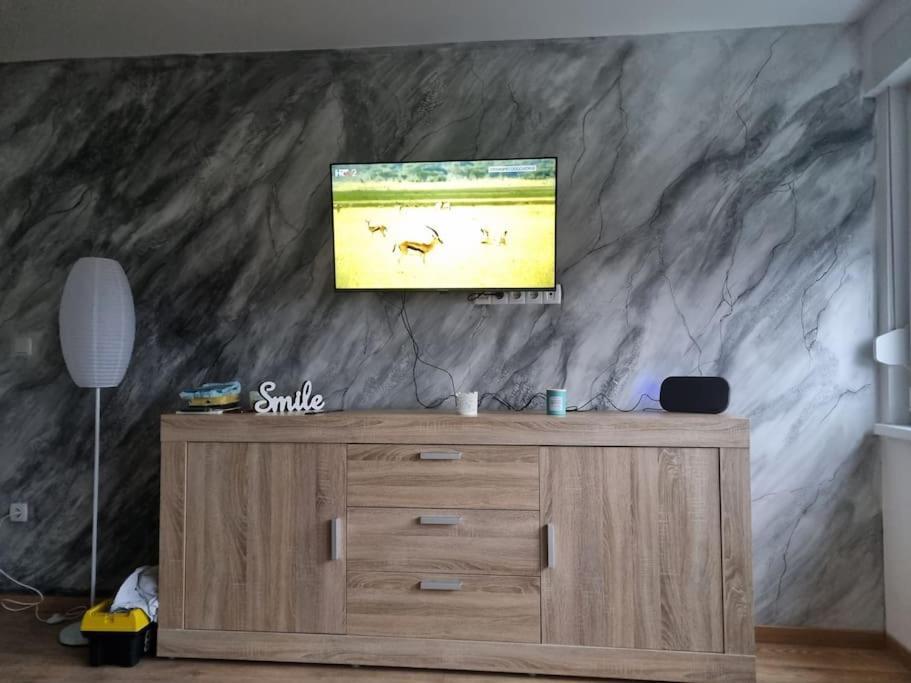 Studio Apartman Bojana 34M2,Free Wifi,Parking 锡萨克 外观 照片